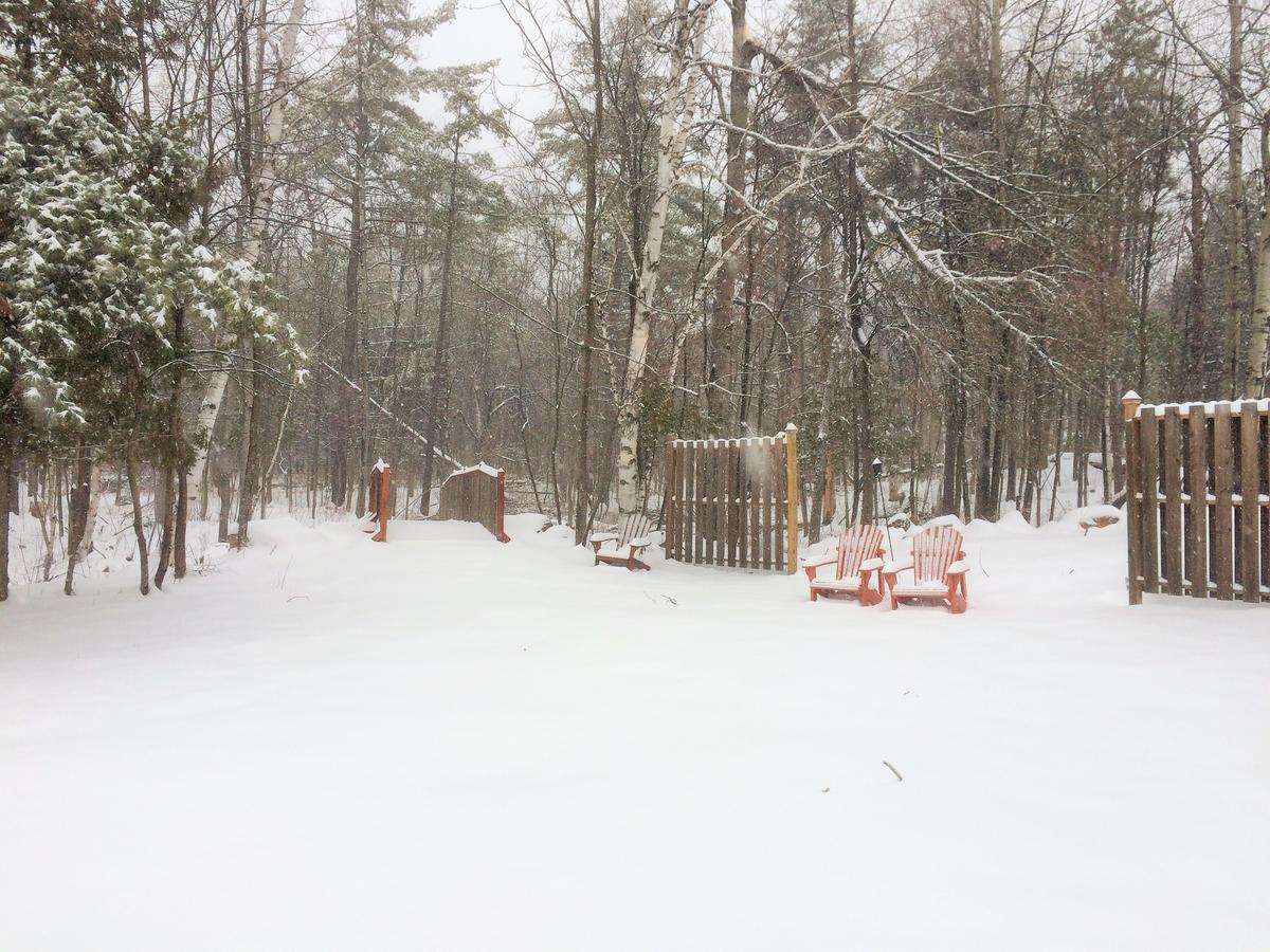 Adirondack Spruce Lodge Wilmington Εξωτερικό φωτογραφία