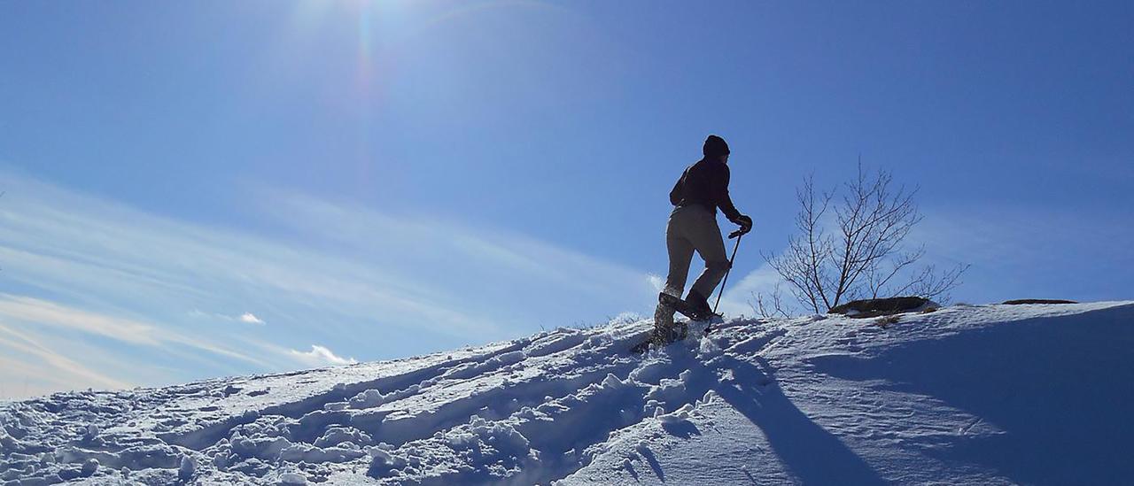 Adirondack Spruce Lodge Wilmington Εξωτερικό φωτογραφία
