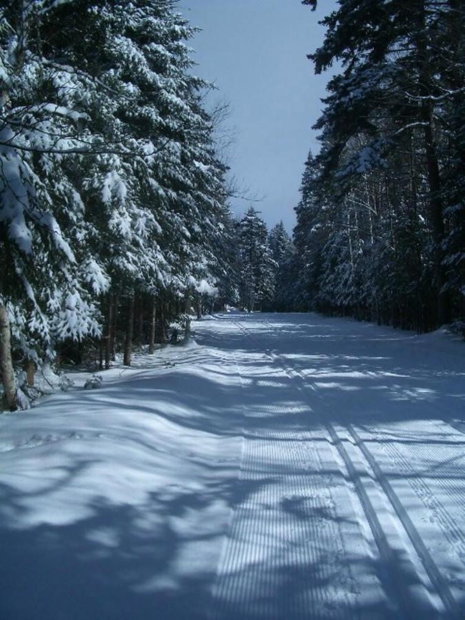 Adirondack Spruce Lodge Wilmington Εξωτερικό φωτογραφία
