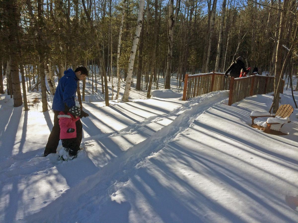 Adirondack Spruce Lodge Wilmington Εξωτερικό φωτογραφία
